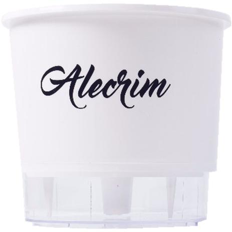 Vaso Raiz Auto Irrigável Gourmet Alecrim 16x14cm Branco Menor preço em Vaso Raiz Auto Irrigável Gourmet Alecrim 16x14cm Branco