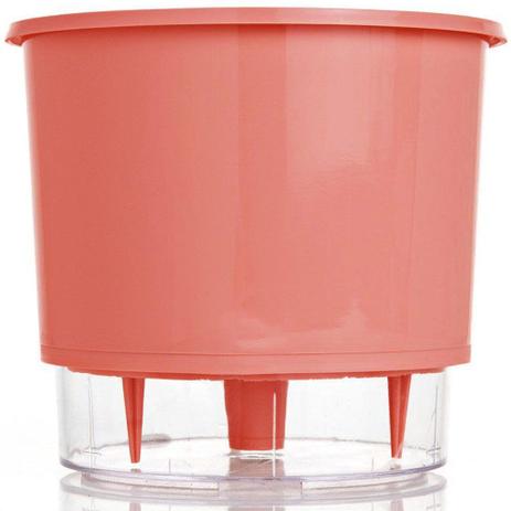 Vaso Raiz Auto Irrigável Wishes Coral 16cm x 14cm Menor preço em Vaso Raiz Auto Irrigável Wishes Coral 16cm x 14cm