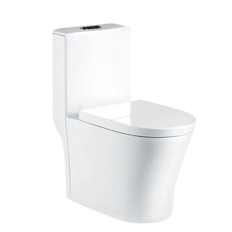 Vaso Sanitário Acoplado (monobloco) Smart 275 - Smart Norte é boa?