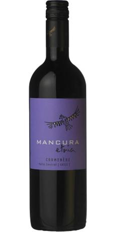 Vinho Tinto Mancura Etnia - La vendimia é boa?