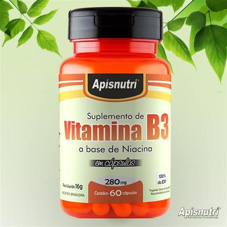 Vitamina B3 (Niacina) 280mg c/60 cápsulas Apisnutri Menor preço em Vitamina B3 (Niacina) 280mg c/60 cápsulas Apisnutri