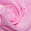 cor Rosa BB