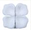 cor White