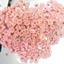 cor Cor de Rosa
