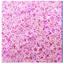cor Rosa BB