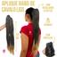 cor Californiana Mel 1BT/27