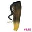 cor 1b613 liso
