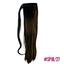 cor sp1b27