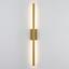 cor Dourado Led 6000K