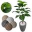 cor 3D Cinza