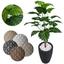 cor 3D Preto