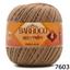 cor 7603 CASTOR