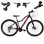 cor Preto, Rosa