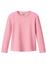 cor 01651, Rosa