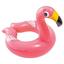 cor Flamingo