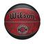 cor Toronto raptors