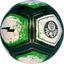 cor Palmeiras