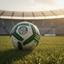 cor Palmeiras