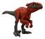 cor Pyroraptor