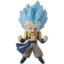 cor Gogeta