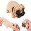 cor Pug