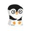 cor PINGUIM