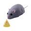 cor Um ratinho fofo