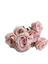 cor Rosa Outono