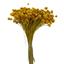 cor Amarelo