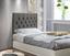 cor Cinza Suede