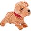 cor Buldogue