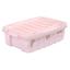 cor Ursa Rosa