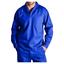 cor Azul royal