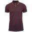 cor Bordo punch