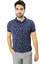 cor Chathams blue