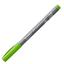cor WILLOW GREEN