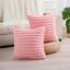 cor Baby Pink