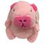 cor Rosa