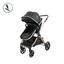 cor Base Gold/Preto