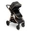 cor Preto Bronze