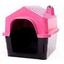 cor Rosa