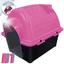 cor Rosa