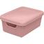 cor Rosa