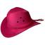 cor Pink