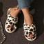 cor Leopardo