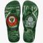 cor Palmeiras