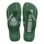 cor Palmeiras, Verde