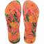 cor Coral tropical
