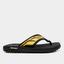 cor Preto, Dourado