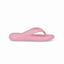 cor Rosa